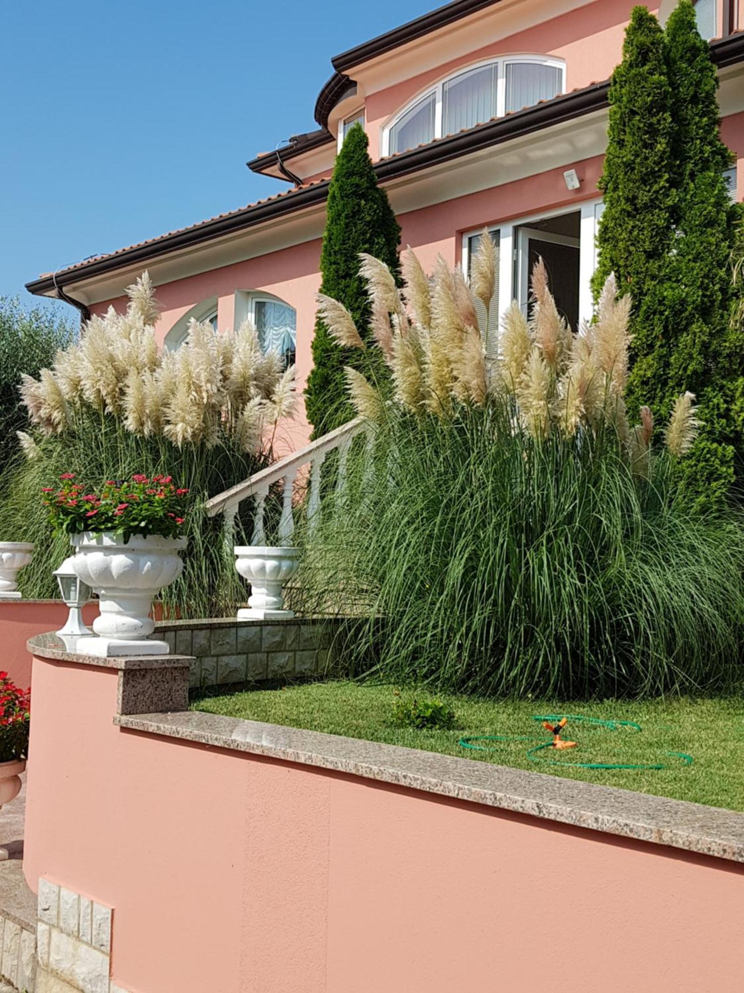 Apartments And Rooms Villa Chiara Krnica Exteriér fotografie